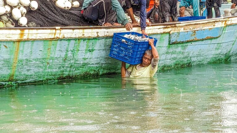 Fisherman unloads fresh catch in Gorontalo, Indonesia. Traditional fishery process in action.